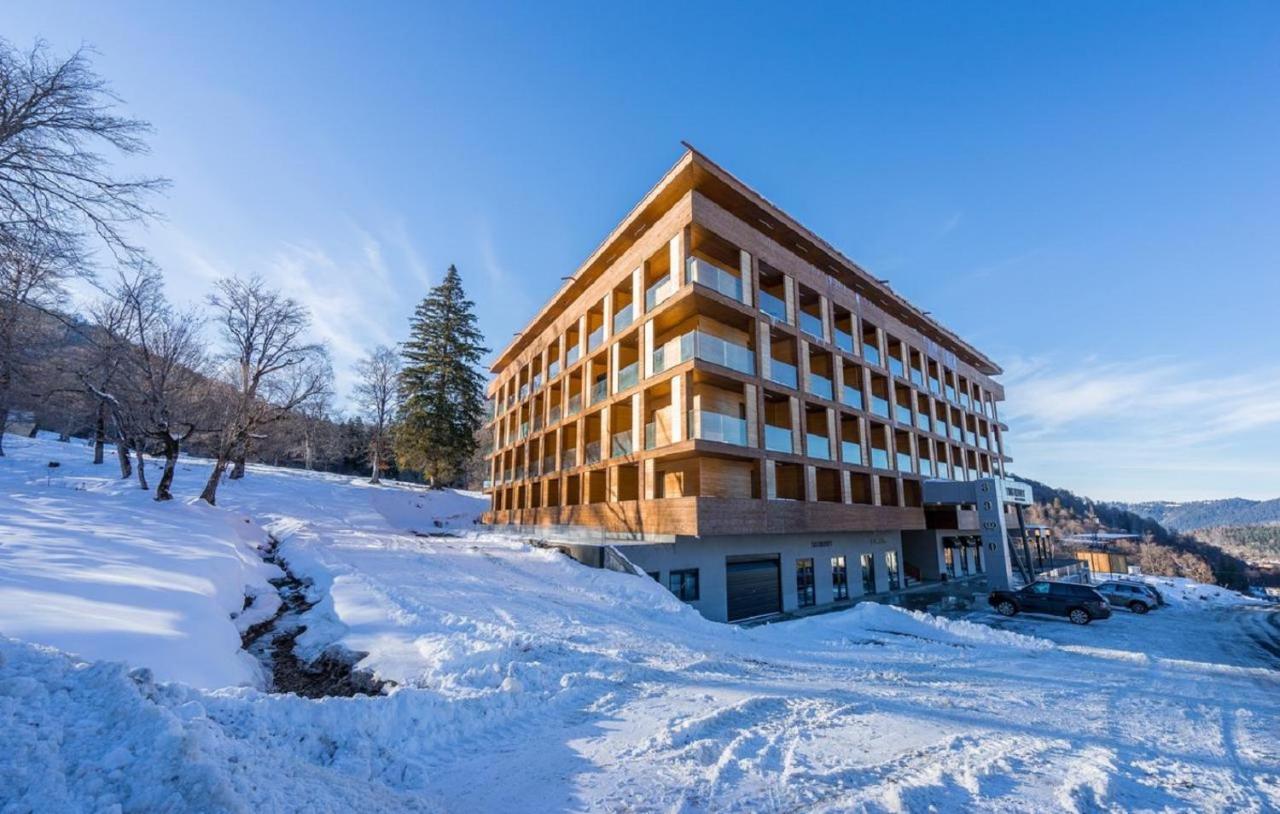 The Valley Bakuriani Belle Epoque Apartment Екстериор снимка